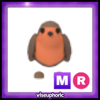 MR Robin