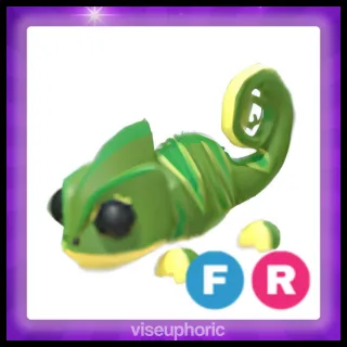 FR Chameleon