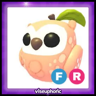 FR Peach Owl