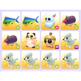 Pets Bundle - Adopt Me