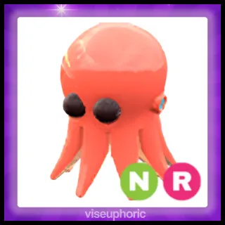 NR Octopus