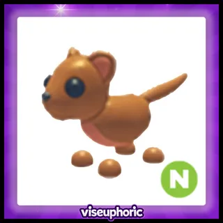 Neon Fossa