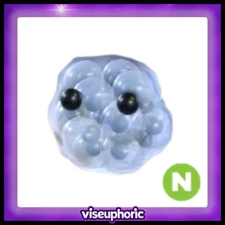 Neon Frogspawn