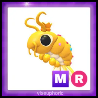 MR Priceless Shrimp