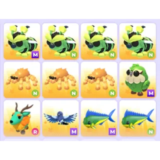 Pets Bundle - Adopt Me
