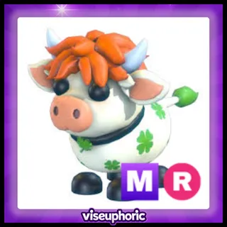 MR Clover Cow
