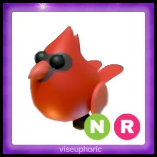 NR Red Cardinal