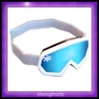 Ski Goggles