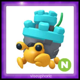 Neon Castle Hermit Crab