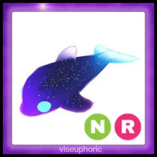 NR Glormy Dolphin