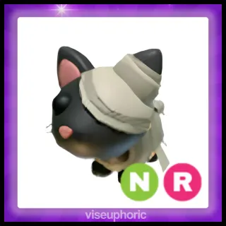 NR Halloween Black Mummy Cat