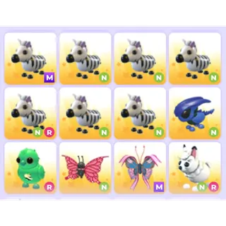 Pets Bundle - Adopt Me