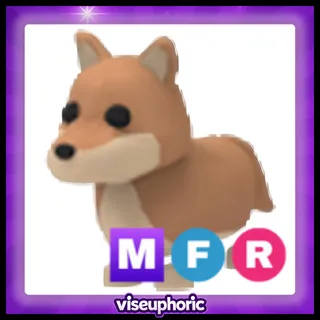 MFR Dingo