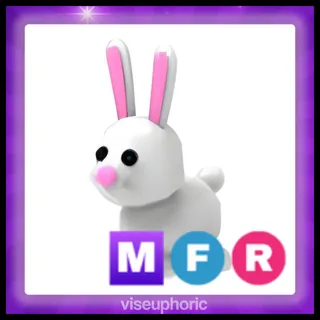 MFR Bunny
