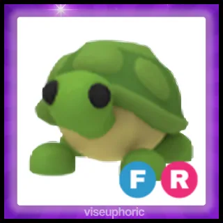 FR Turtle