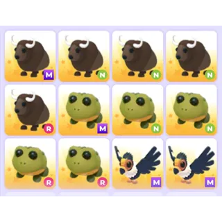 Pets Bundle - Adopt Me