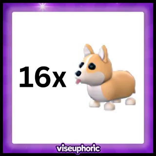 16x Corgi