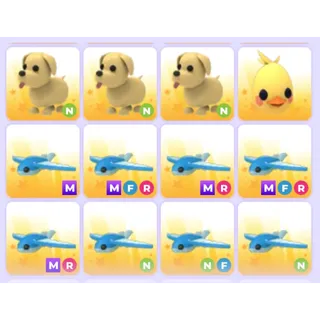 Pets Bundle - Adopt Me