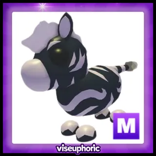 Mega Ash Zebra 