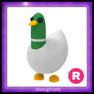 R Silly Duck