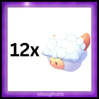 12x Aberdeen Angus Box