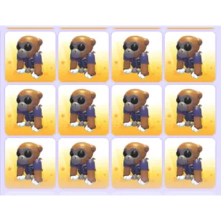 Pets Bundle - Adopt Me