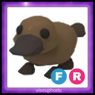FR Platypus
