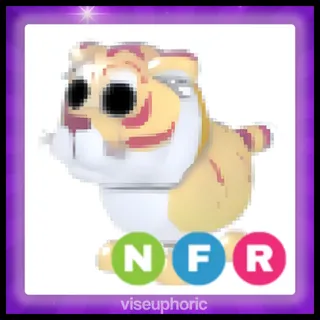 NFR Lunar Gold Tiger