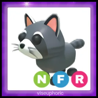 NFR Raccoon
