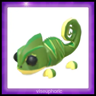 Chameleon