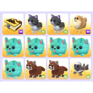 Pets Bundle - Adopt Me