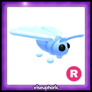 R Glacier Moth