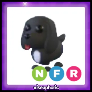 NFR Royal Palace Spaniel 