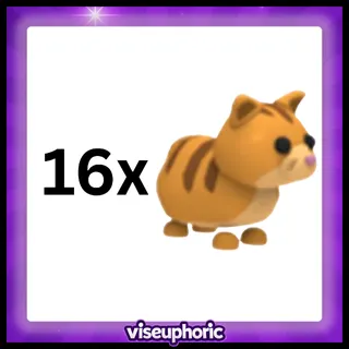 16x Ginger Cat