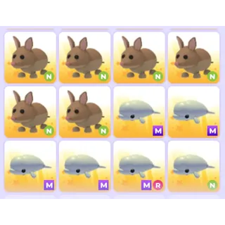 Pets Bundle - Adopt Me