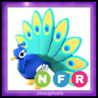 NFR Peacock