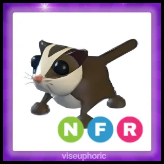 NFR Sugar Glider
