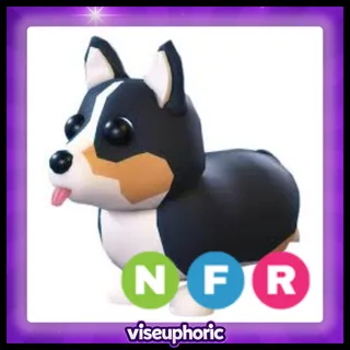NFR Royal Corgi