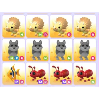 Pets Bundle - Adopt Me