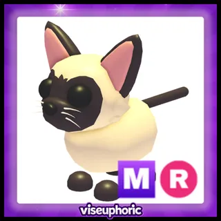 MR Siamese Cat
