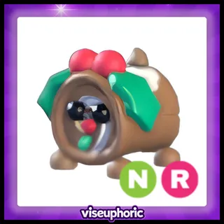 NR Yule Log Dog