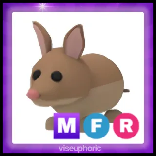 MFR Bandicoot