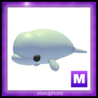 Mega Beluga Whale