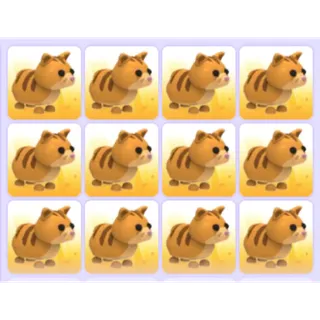 Pets Bundle - Adopt Me