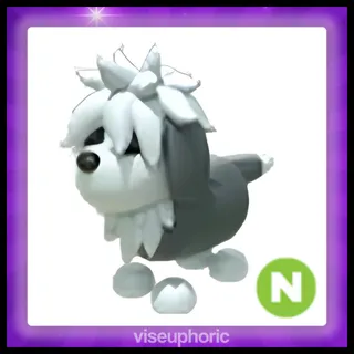 Neon English Sheepdog