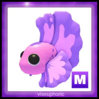 Mega Pink Betta Fish