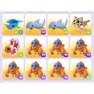 Pets Bundle - Adopt Me