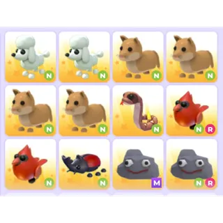 Pets Bundle - Adopt Me
