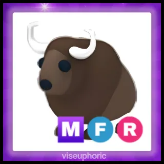 MFR Buffalo
