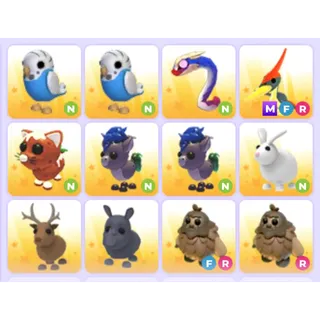 Pets Bundle - Adopt Me